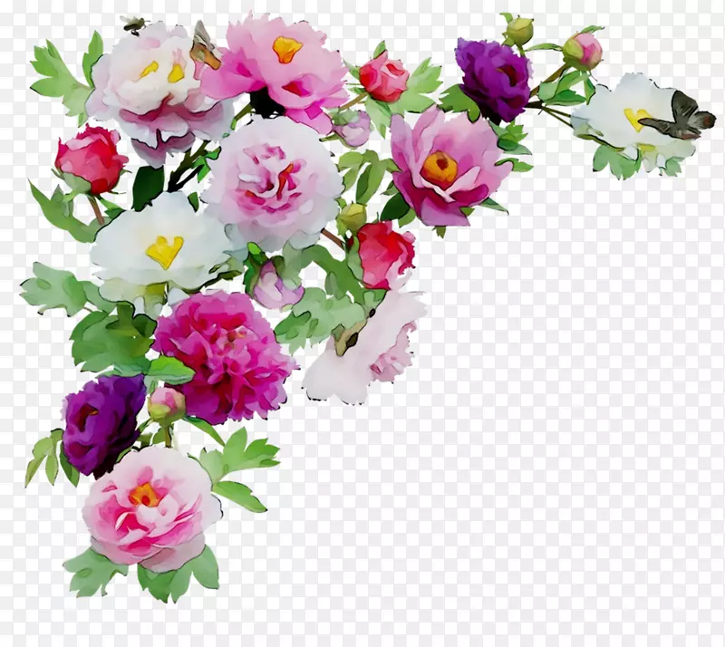 边框花卉设计剪贴画花卉png图片