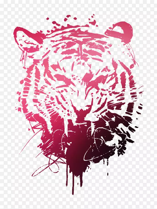 虎插图视觉艺术平面设计猫