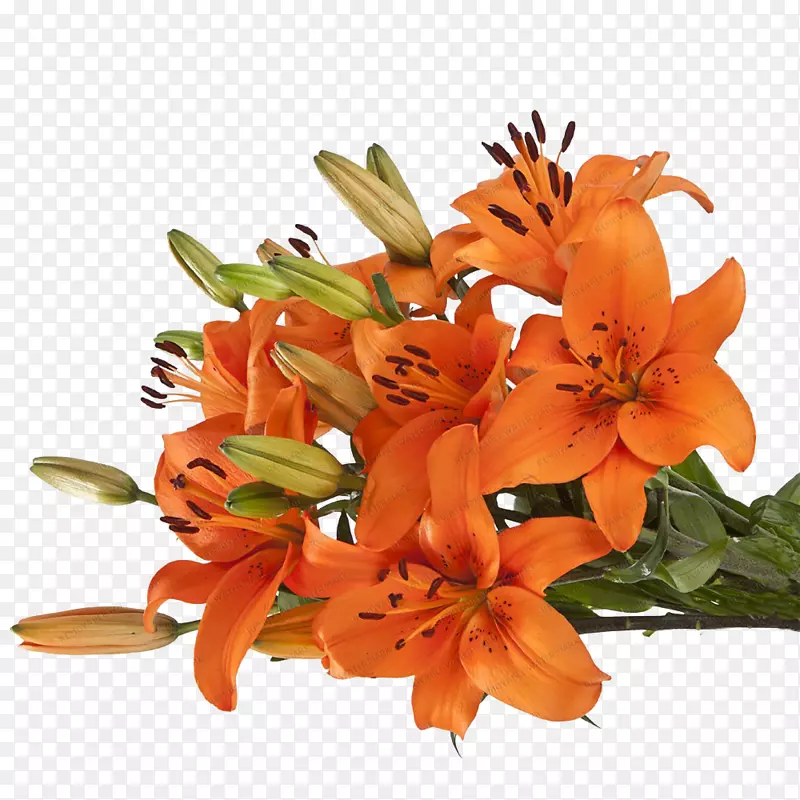 印加百合花卉设计切花花束