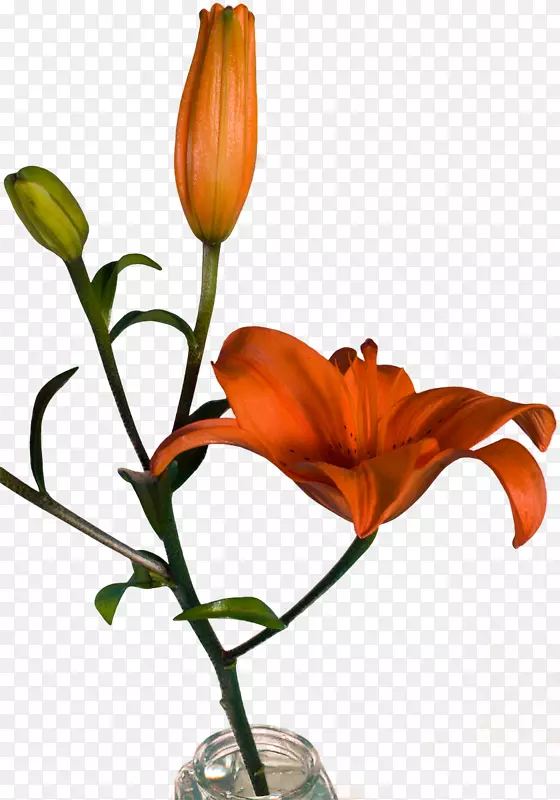 花卉设计花瓶切花-柏卡克丝
