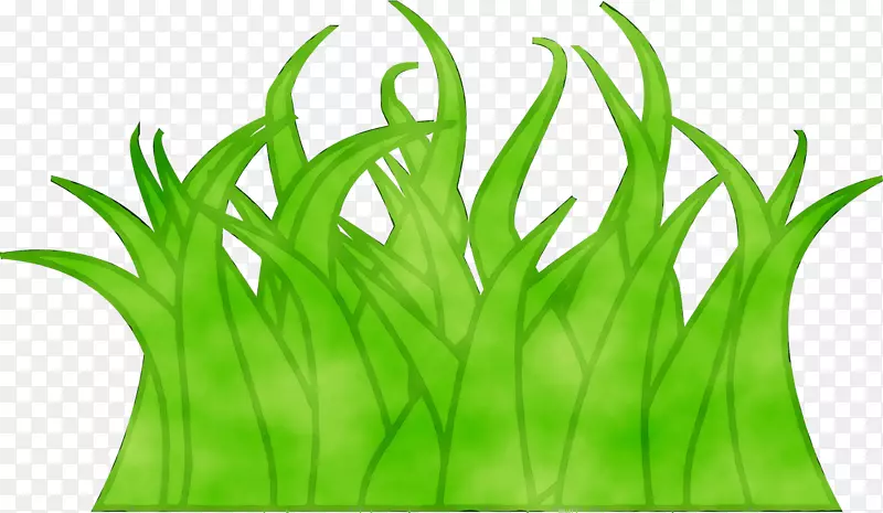 麦草绿叶植物茎系