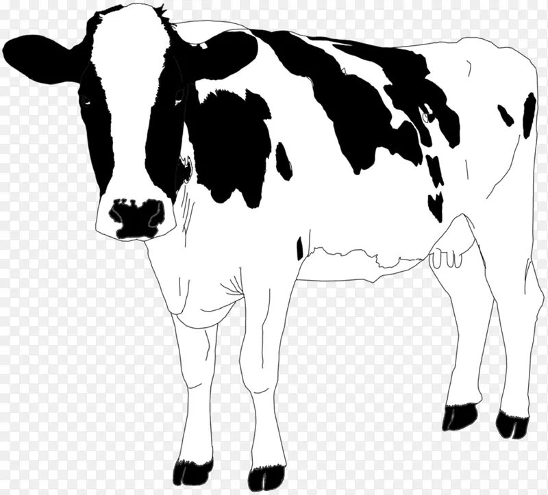 奶牛，泽西牛，牛磺酸牛，高地牛，牛犊