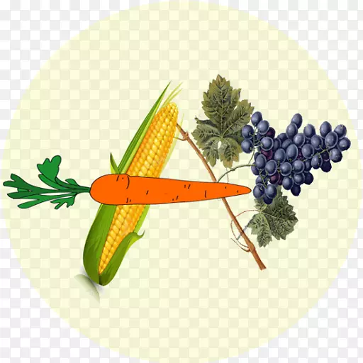 蔬菜水果-农艺师传单