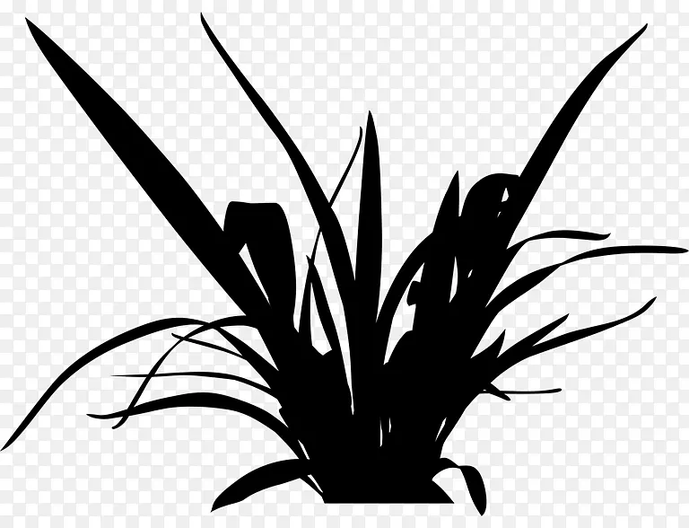 剪贴画草图形设计叶植物茎