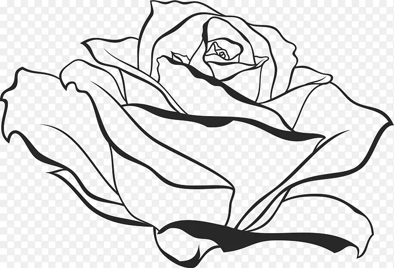 绘图图形剪贴画插图图像绘制玫瑰
