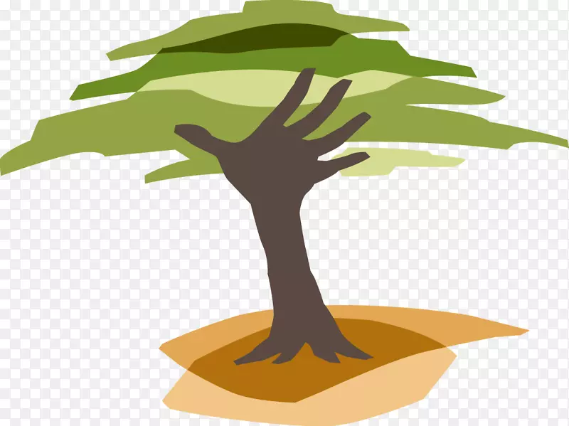 伊甸园再造林计划非牟利组织-森林