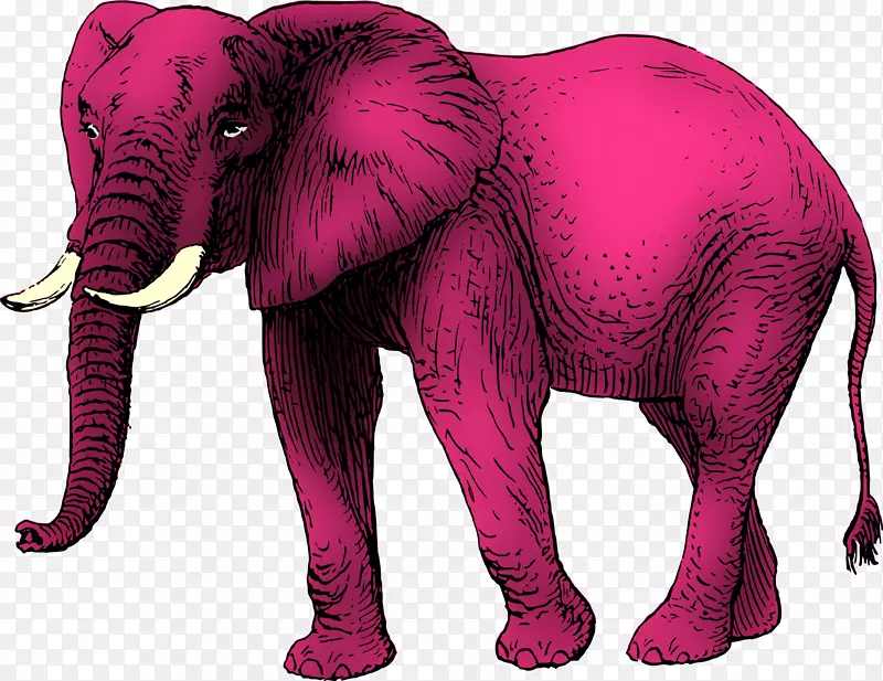 非洲象亚洲象剪贴画图形象