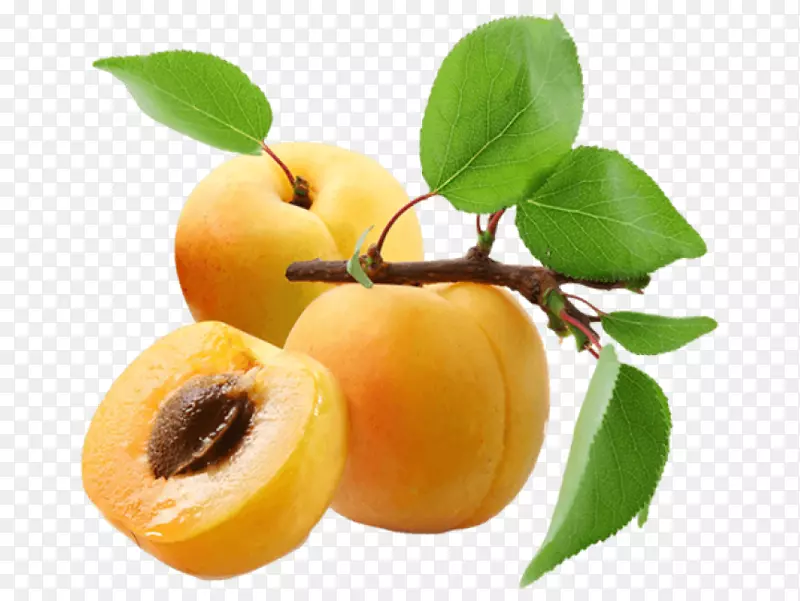 png图片杏树剪贴画桃子图像