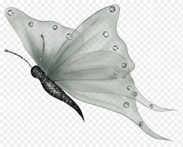 玻璃蝴蝶夹艺术png图片昆虫