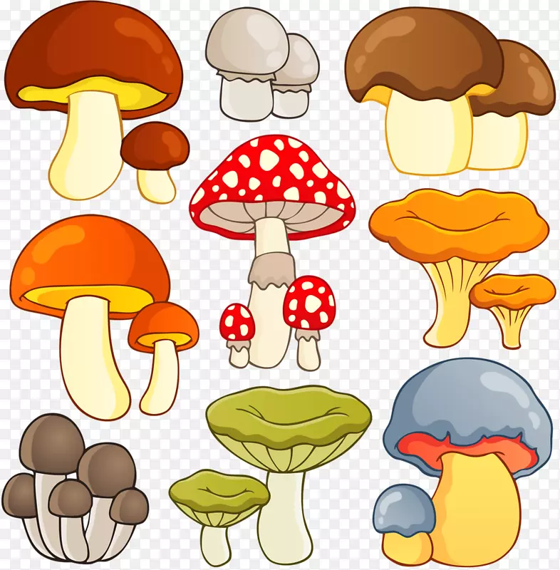 图形绘制剪贴画蘑菇插图-蘑菇