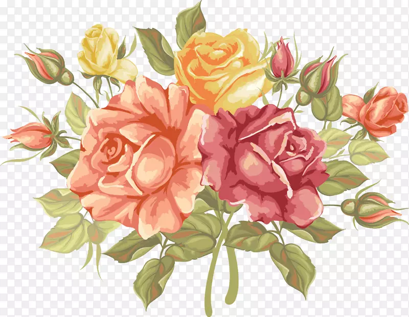 花园玫瑰，卷心菜，玫瑰，花卉设计，花卉切花