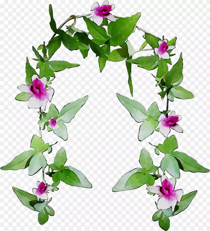 png图片花卉图像绘制缩略图