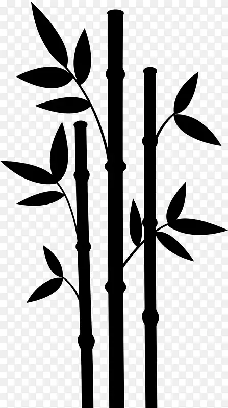 植物茎叶花字形线