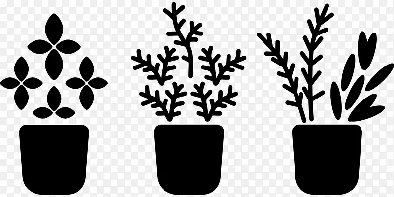 植物茎开花植物叶字体