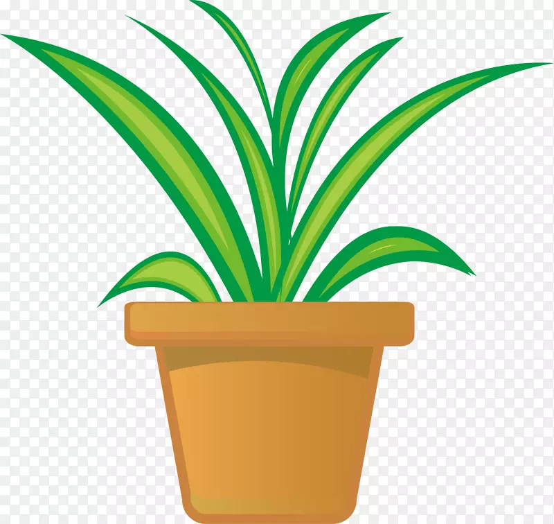 剪贴画图形插图室内植物图像植物卡通
