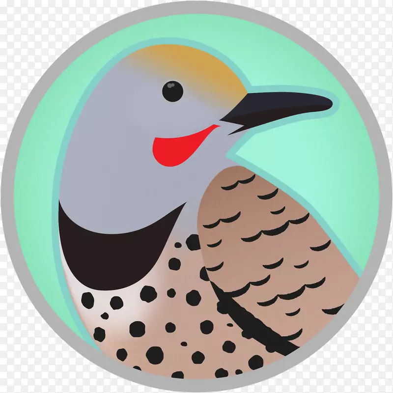 啄木鸟png图片鸟类图像北方闪烁-比利时图形