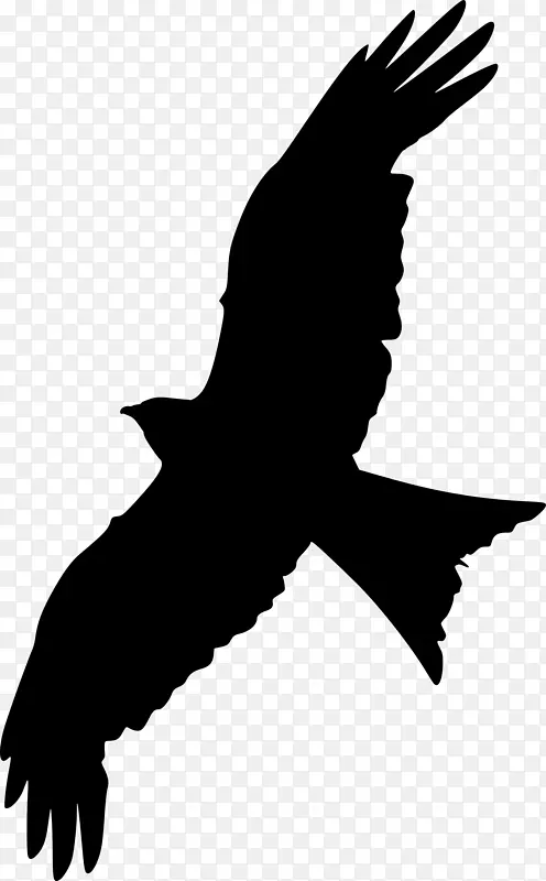 秃鹰喙夹艺术动物轮廓