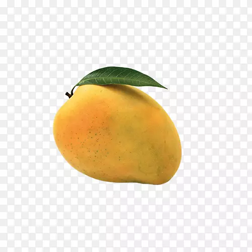 芒果橘子食品柑橘汁泡-芒果