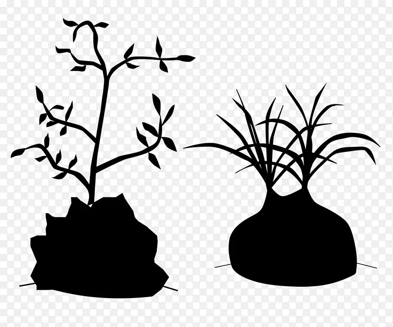 剪枝艺术植物茎花叶