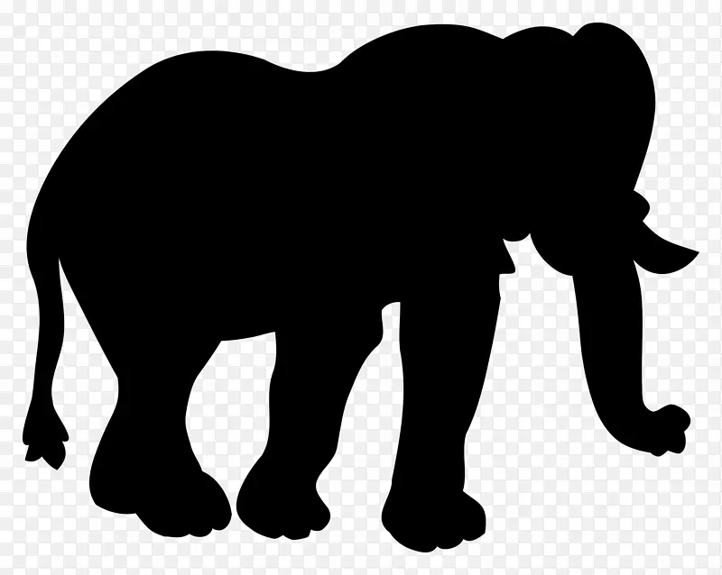 印度象非洲象猫马