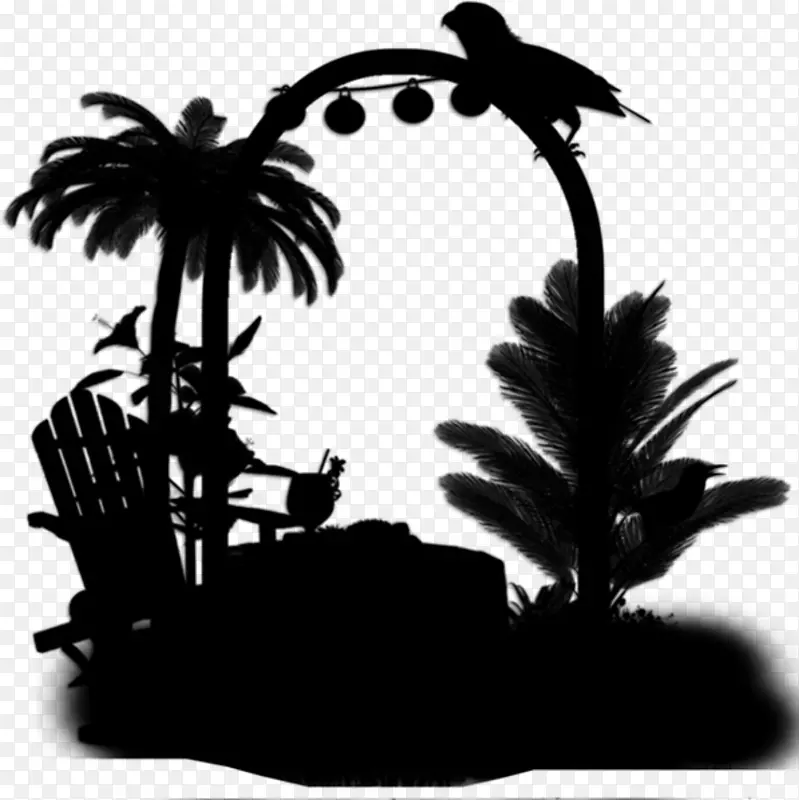 棕榈树的轮廓