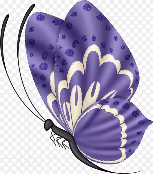 蝴蝶昆虫图像绘图插图-蝴蝶