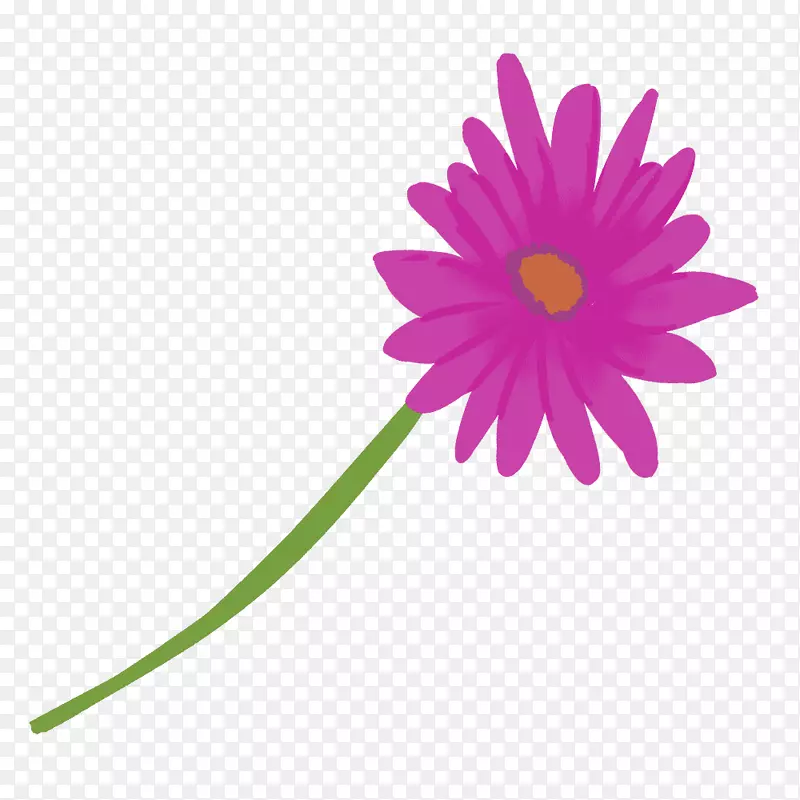 特兰士瓦雏菊图形插图图像紫色-Bera模型