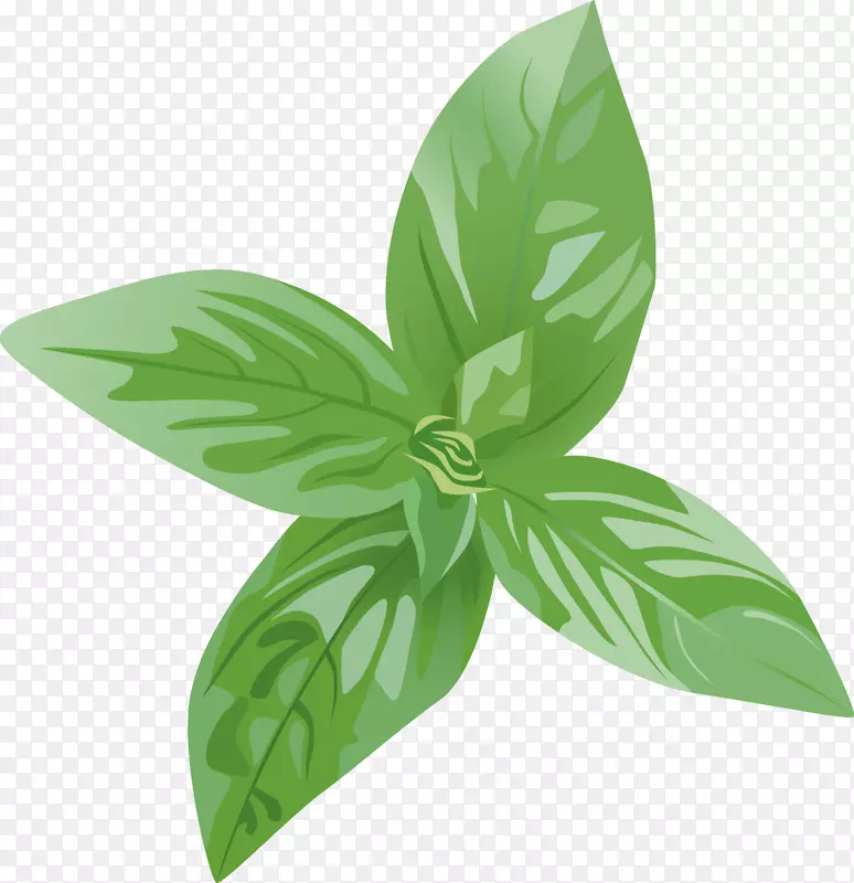 罗勒图形png图片药草香料盆景按钮