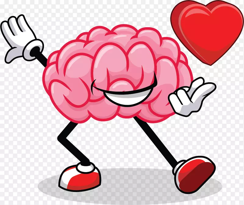 坠入爱河的大脑-青春期情感-大脑