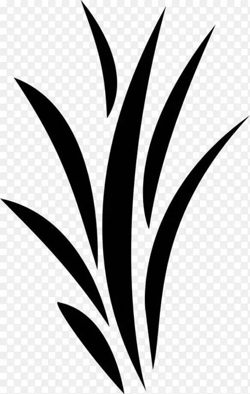 黑白花植物茎叶剪贴画