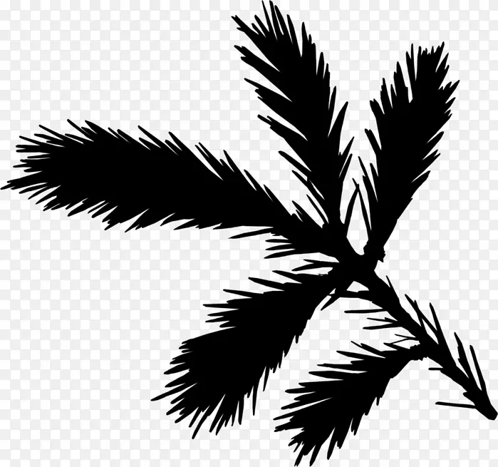 棕榈树黑白-m剪影叶