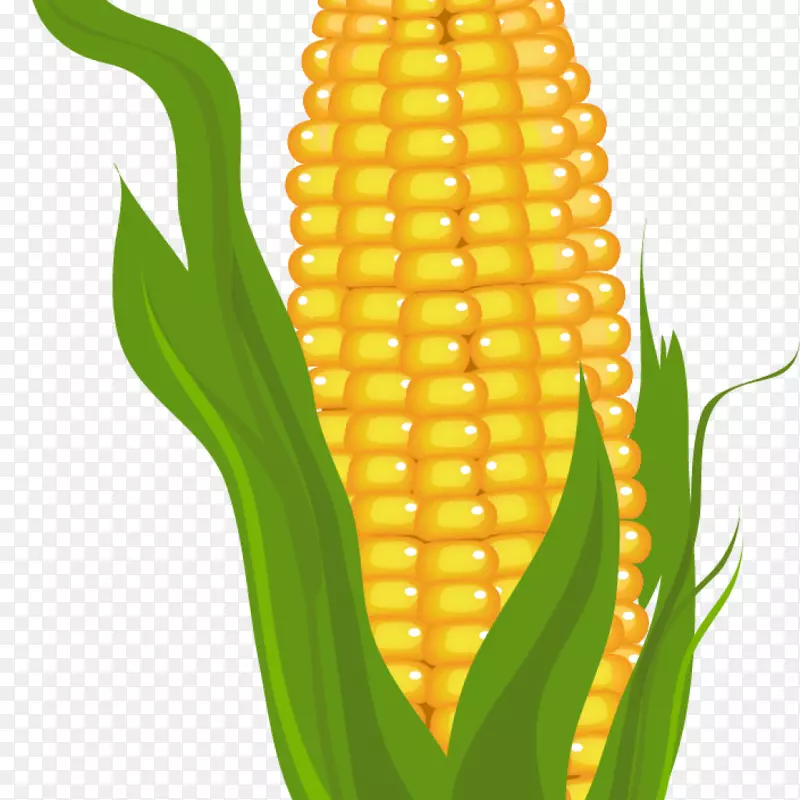 剪贴画露天玉米上的免费内容-玉米