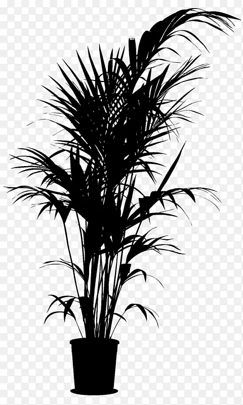 亚洲Palmyra Palm Rhapis卓越的棕榈树剪辑艺术png图片