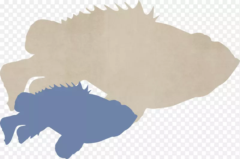 世界动物信息图-托马斯尼尔森海洋鱼类