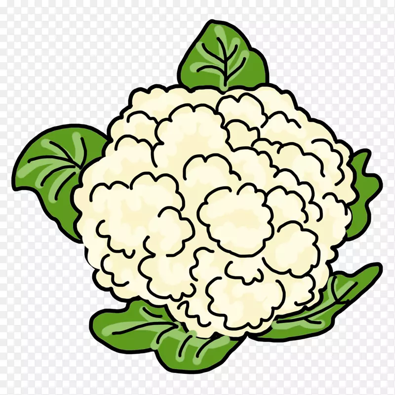 绘制蔬菜花椰菜形象涂鸦-蔬菜