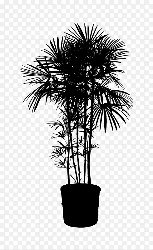 亚洲帕尔米拉棕榈树，剪贴画植物