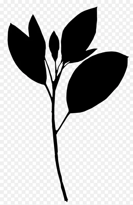 剪贴画黑白花叶植物茎