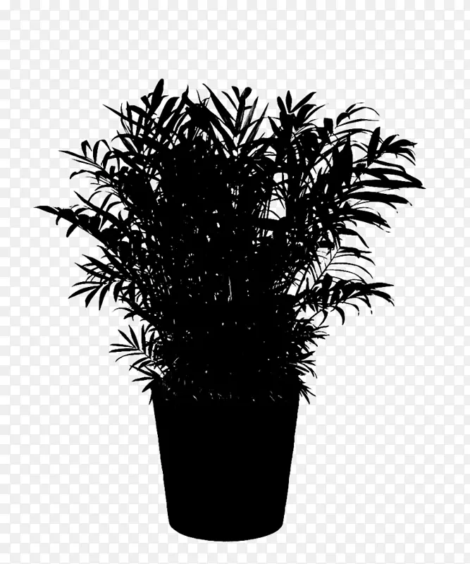 棕榈树黑白花盆栽植物