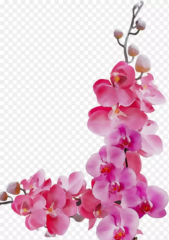 花卉png图片图像花卉设计图