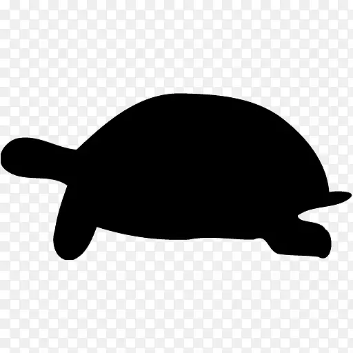 海龟黑白剪贴画
