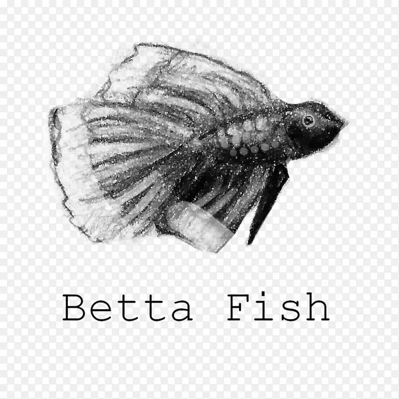 绘制/m/02 csf黑白字体动物-Betta背景