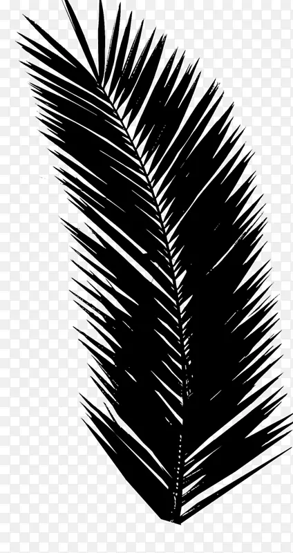 剪贴画png图片棕榈树图像设计