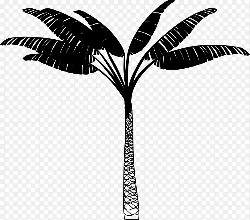 卡瓦尼度假村棕榈树住宿纳卡拉
