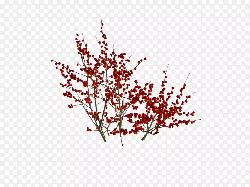 樱花小枝艺术绘画-樱花