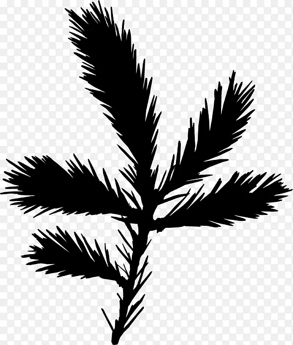 嫩枝黑白叶植物茎棕榈树