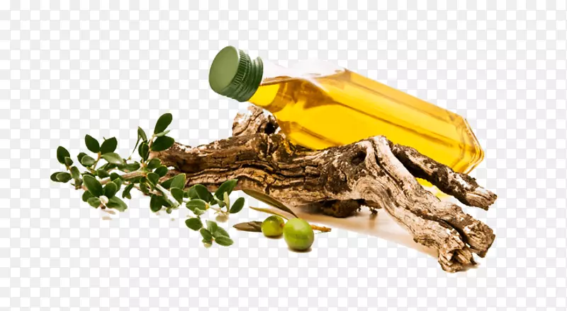 意大利菜希腊菜橄榄油意大利橄榄油生产商