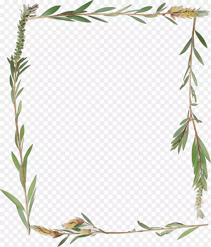 图片框植物茎叶花草