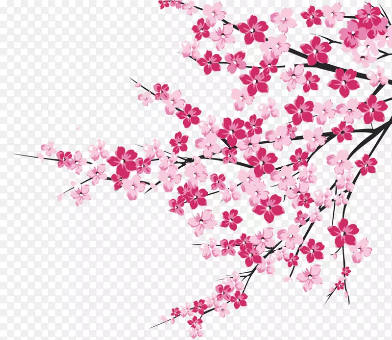 樱花png图片图像剪辑艺术插图-樱花