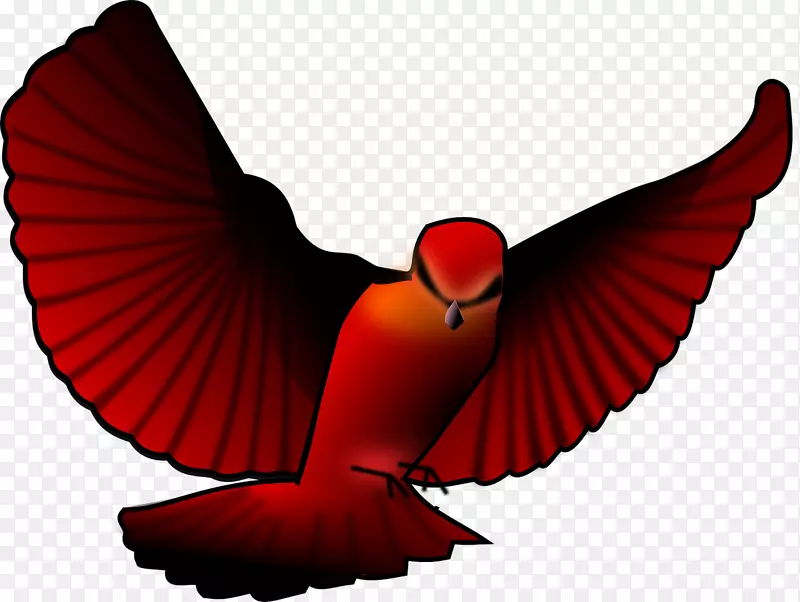 鸟类剪贴画露天部分png图片北方红衣主教鸟