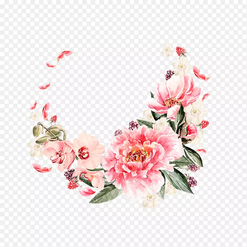 牡丹摄影png图片玫瑰花-牡丹
